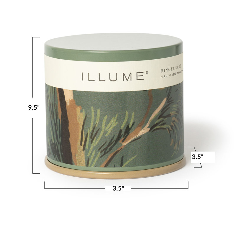 Hinoki Sage Aromatic Reed Diffuser with Natural Sticks