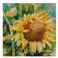 «Sunflower Centered» par Mattox, reproduction d'aquarelle sur toile tendue-30392482