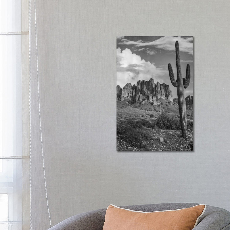 Saguaro And The Superstition Mountains, Lost Dutchman State Park, Arizona - Wrapped Canvas Print