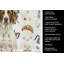 Essuie-tout Foie et blanc-1234934450