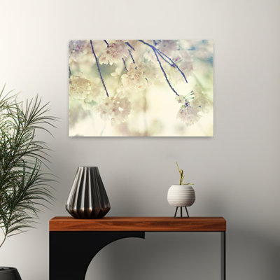 Blanc sur blanc, délicat, rêveur, cerise éthérée, art naturel