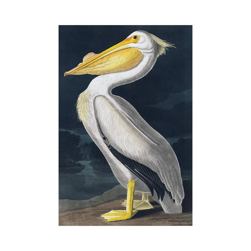 Pelican, No Frame, Canvas, 12'' H x 8'' W