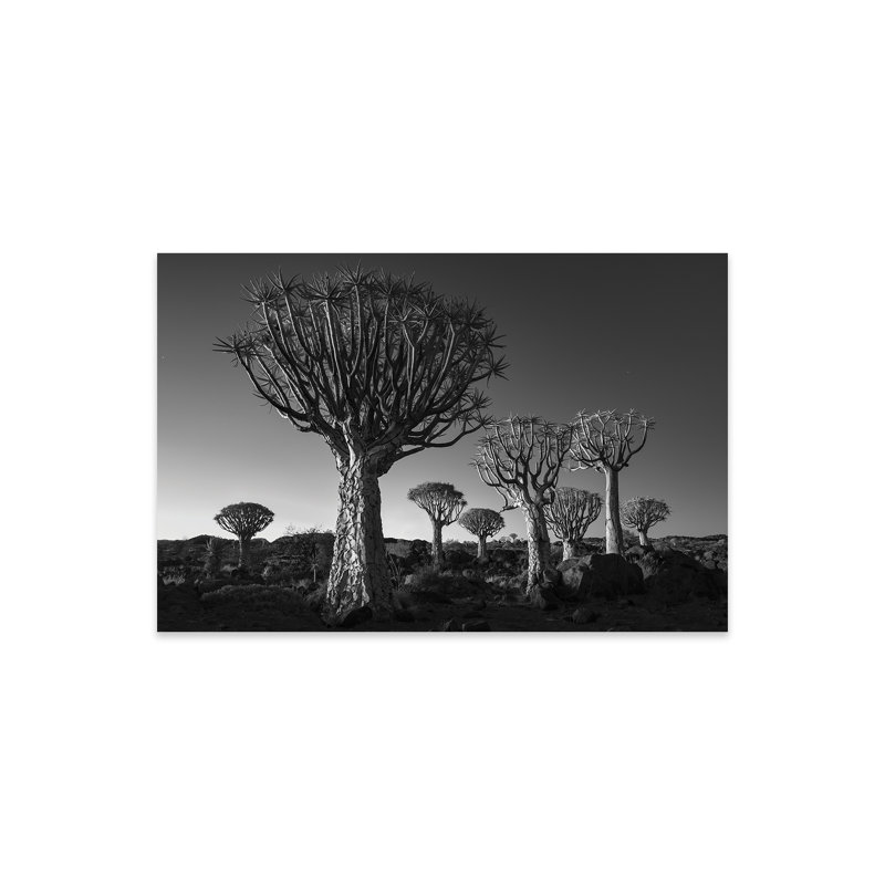 «Namibia Keetmanshoop douzième sur plastique / acrylique» par David Clapp, peinture