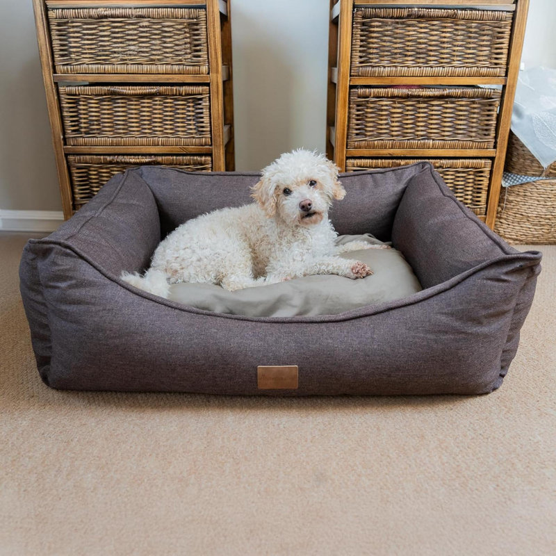 Pet Bed, Chocolate Truffle