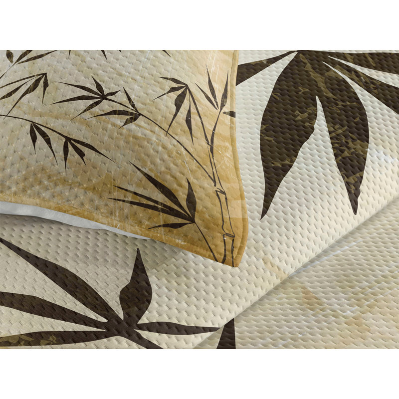 Coverlet