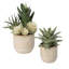 Ensemble de 2 plantes artificielles en pot