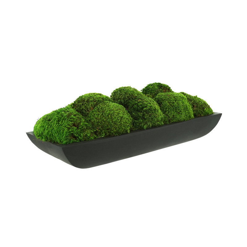 Moss Preserved in Oblong Planter, 7" H x 19.5" W x 7.5" D