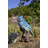 Motion Activated Singing Jay Standing on Stump