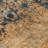 Yasmineh Orange Washable Indoor-Outdoor Rug - -728102387