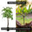 Handmade Artificial Rain Leaf Tree with Real Wood-567323845