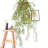 Artificial Twig Vine For Wall Hangings