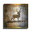 «High Country Deer» par Lightbox Journal sur métal-481165063