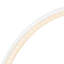 Govea LED Flush Mounted Sconce