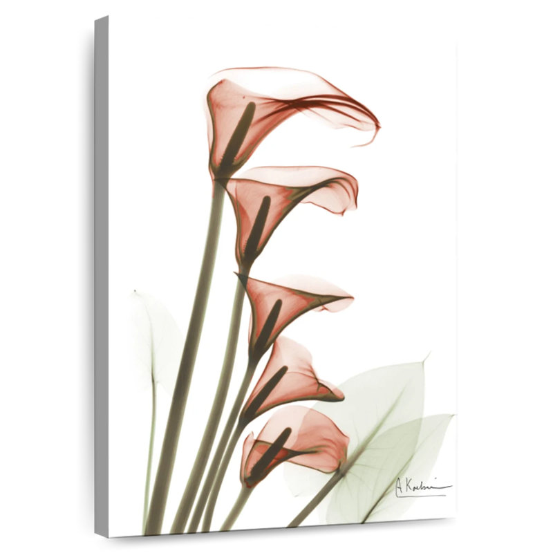 Harnek lys Calla ascendant, H 30 po x l 20 po