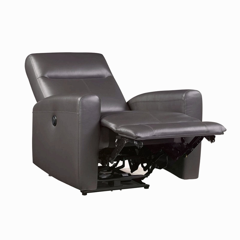 Top Grain Leather Upholstered Power Motion Reclining