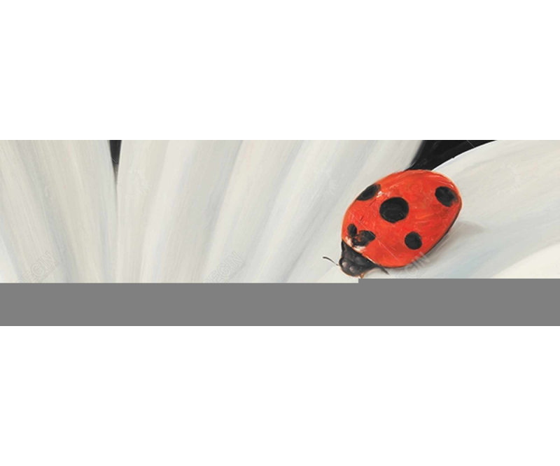 White Daisy and Ladybug - Insect White Canvas Home Decor