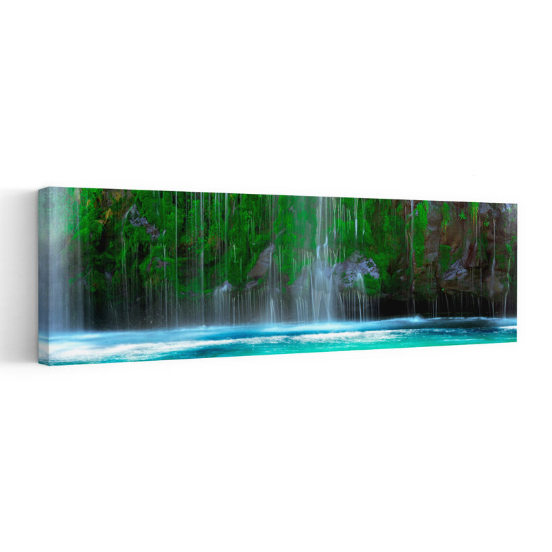 Chute d'eau dans une forêt, chutes de Mossbrae, rivière Sacramento, Dunsmuir, comté de Siskiyou, Californie, États-Unis, art contemporain de paysage forestier abstrait