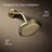Occasion Single-Function Showerhead-93071653