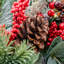 CEDAR BERRY - 26 Inch Wreath with 50 8 Function Lights