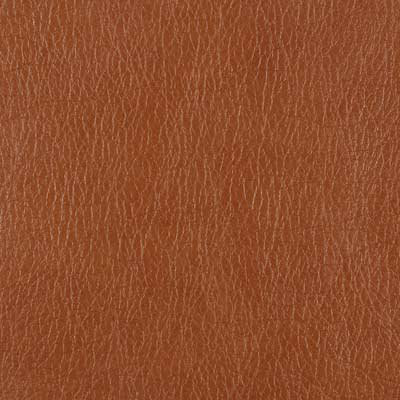 Edgewater Fabric, Cognac