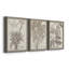 «Sepia Exotic Plants IV», ensemble de 3 peintures sur toile encadrées-595440738-595440741