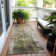 Machine Washable Indoor/Outdoor Claudian ACN1649 Olive Rug