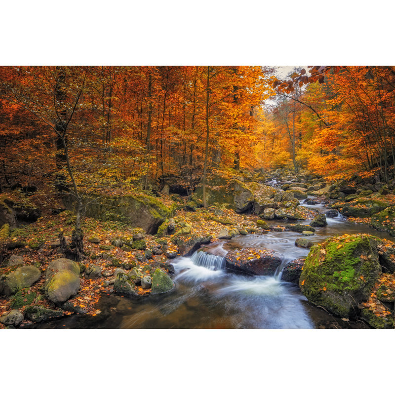 Stream In Foggy Forest by DieterMeyrl - Print, 30cm H x 46cm W