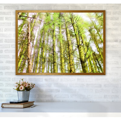 Woodland - Print on Canvas
