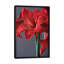 Amaryllis rouge, impression sur toile-32497853-72146104-72146117