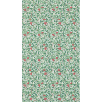 Arbutus Wallpaper