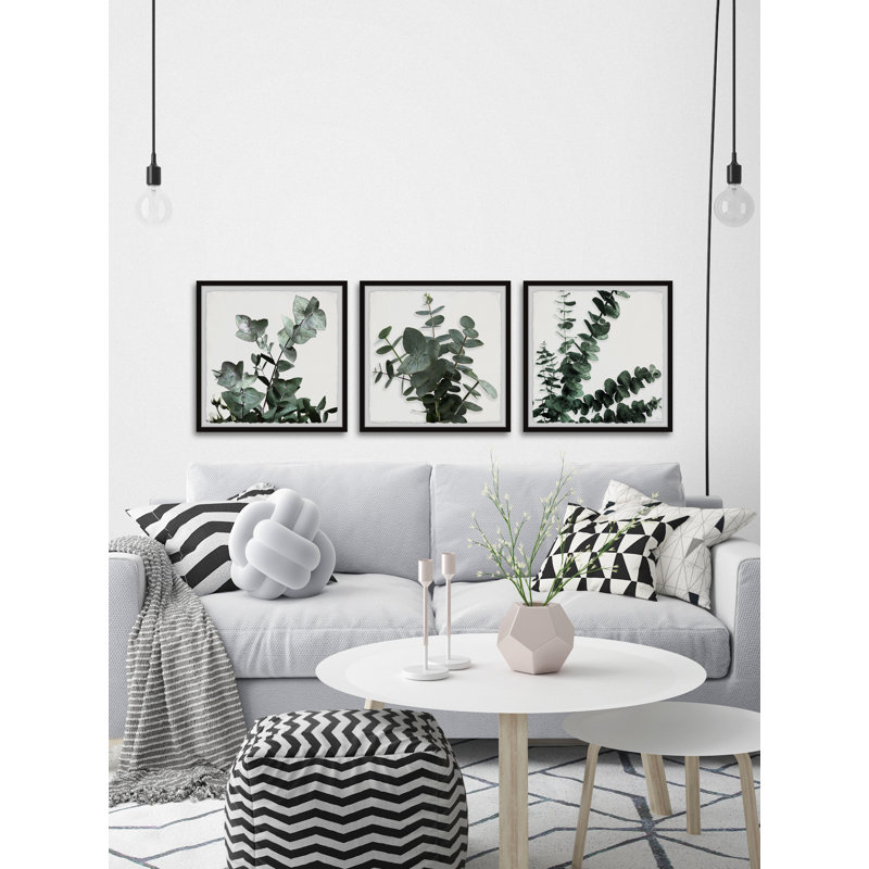 Evergreen arbuste triptyque, H 18 po x l 18 po