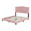 Size Upholstered Bed Frame With Rivet Design, Modern Velvet Platform Bed With Tufted Headboard,Pink-1733442943