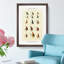 Trout Fishing Flies Version 4 by Mary Orvis Marbury - Picture Frame Painting Print-55765030-55765031