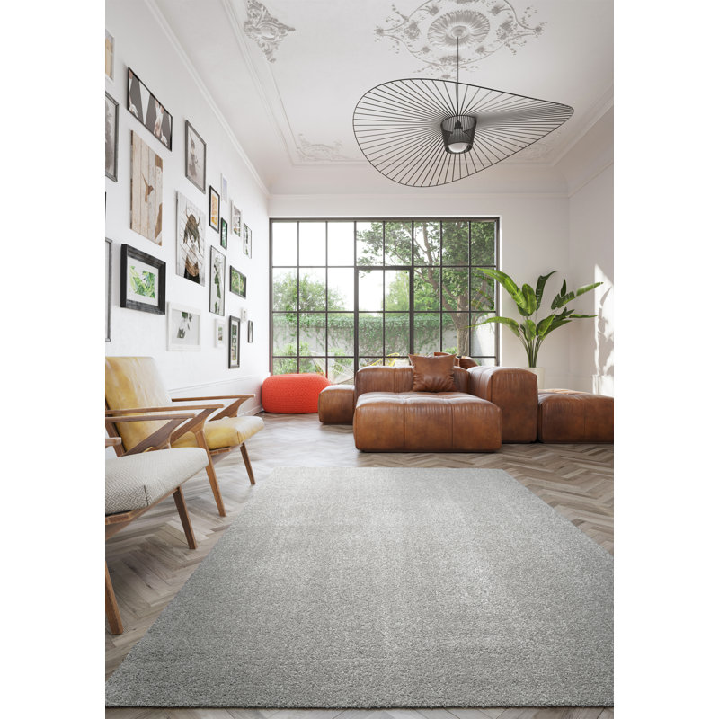 Abigailmarie Machine Washable Grey Indoor Rug, Rectangle 80 x 150 cm