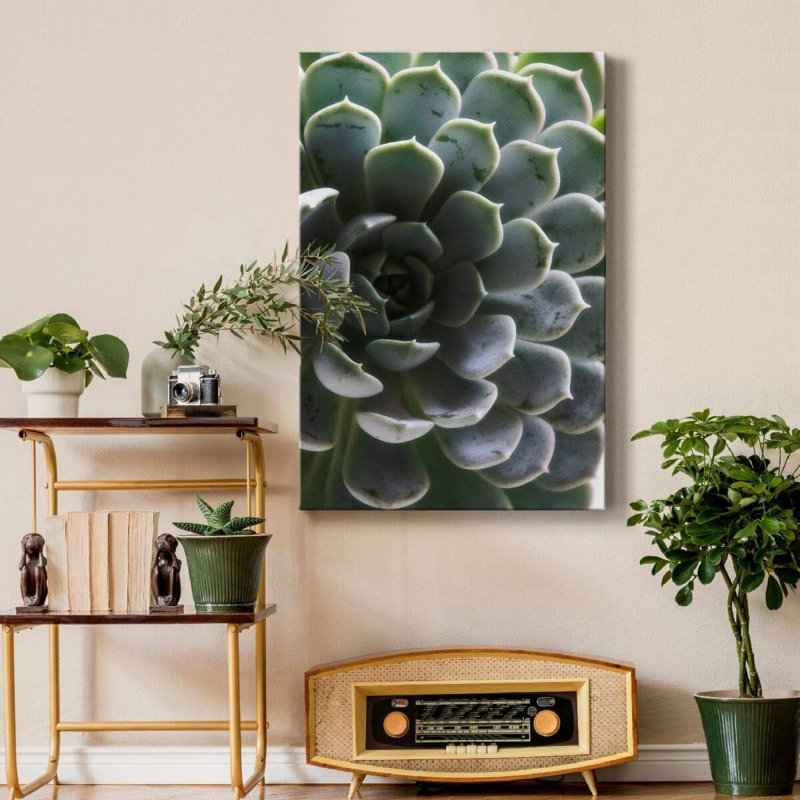1 Piece Wrapped Canvas Wall Art