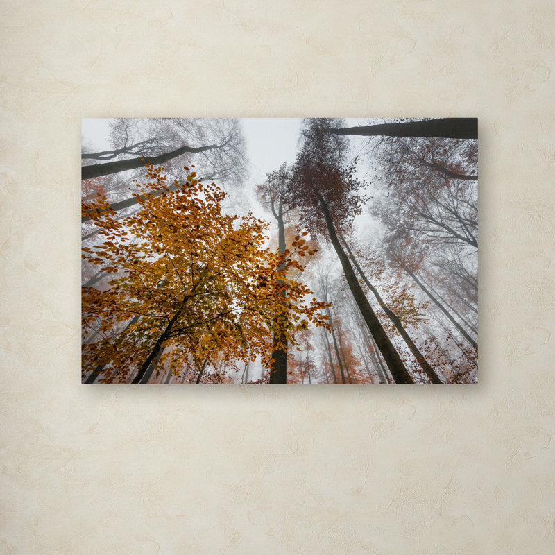 Daydreamer Realism Nature Canvas Wall Art, 12 x 19