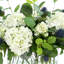 Hydrangea and Thistle Floral Arrangement in a Rectangular Glass Vase