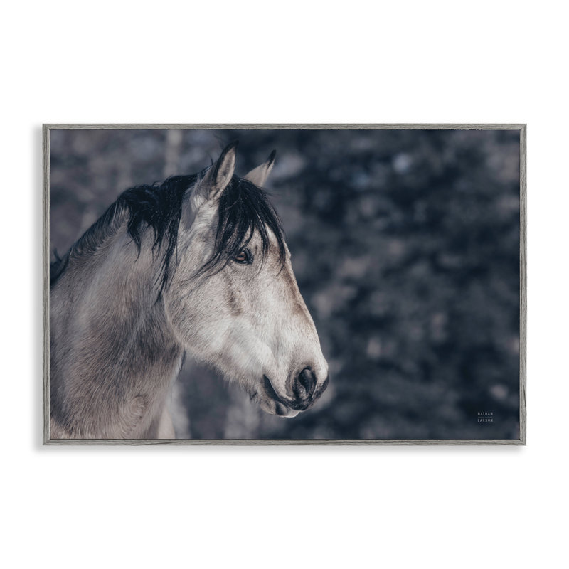 Intense Gaze Stallion, art de la giclée encadrée par Nathan Larson, H 12 po x l 18 po, Estampe numérique Farmhouse