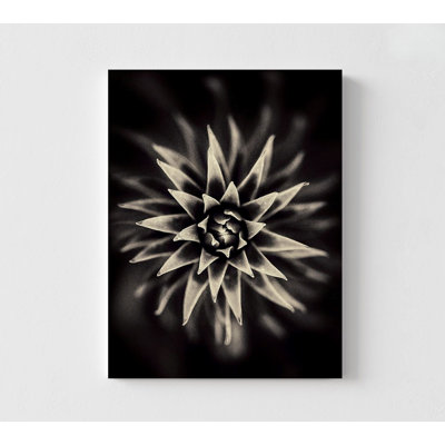 Étoile par Saad Salem, reproduction de photographie de plante moderne, décor de photo de couloir photo, impression de photo de nature, décor de salon, art de petit bureau