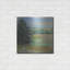 «Abstract Field I» par Carol Rowan-1072483225
