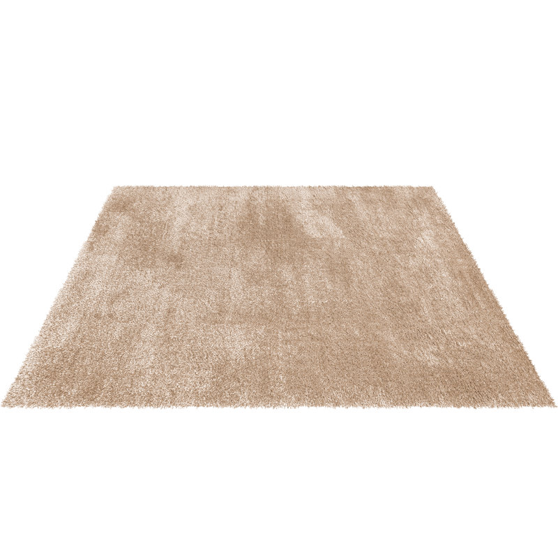 Cestar Shag Indoor / Outdoor Area Rug, Runner 60 x 220 cm