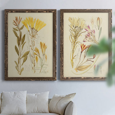 Croquis botanique antique, reproduction encadrée, prêt à accrocher