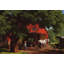 Horse and Buggy Days-1776163150