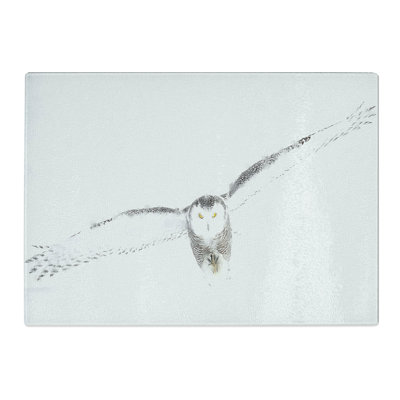Tempered Glass Snowy Owl Chopping Board