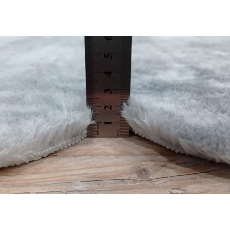 Tapis gris clair en polyester Novelty Halynn, Nouveauté 2 pi 7 po x 4 pi 11 po