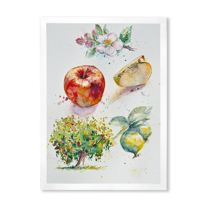 «Set of Apple Botanist», reproduction d'art sur toile encadrée, H 20 po x l 12 po x P 1 po, Cadre photo blanc