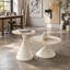 Ensemble de 2 tables basses-1662822172