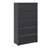 5 Metal File Cabinet With Lock, Black Antique, Office Necessity, Stores Legal/Letter/A4/F4 Size, 550 Lbs Max Weight Lockable Filing Cabinet, Antique Look, Saves Space, Accommodates Multiple Types-1365904304