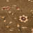 Carolane Performance Floral Rug-21588300