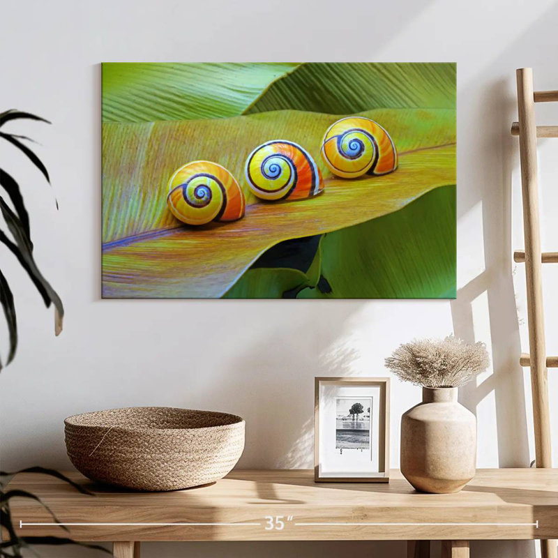 Brampt Cuban Snails, 16'' H x 24'' W